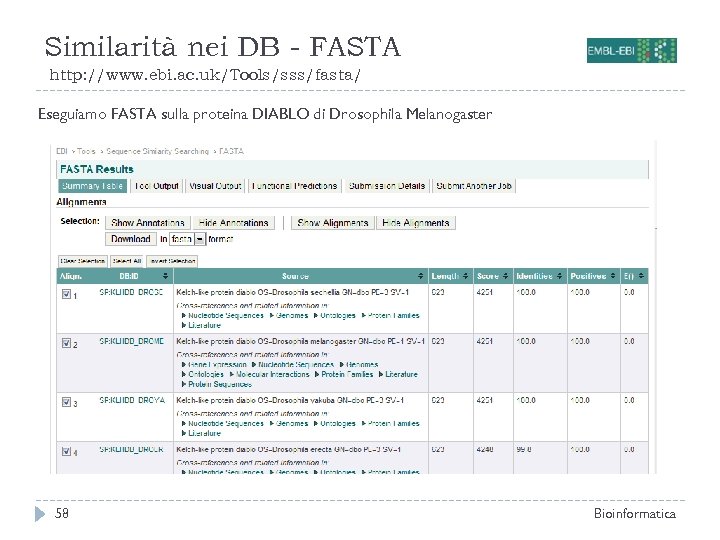 Similarità nei DB - FASTA http: //www. ebi. ac. uk/Tools/sss/fasta/ Eseguiamo FASTA sulla proteina