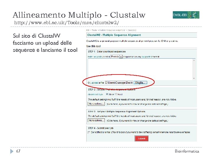 Allineamento Multiplo - Clustalw http: //www. ebi. ac. uk/Tools/msa/clustalw 2/ Sul sito di Clustal.