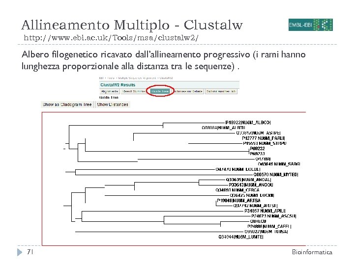 Allineamento Multiplo - Clustalw http: //www. ebi. ac. uk/Tools/msa/clustalw 2/ Albero filogenetico ricavato dall’allineamento