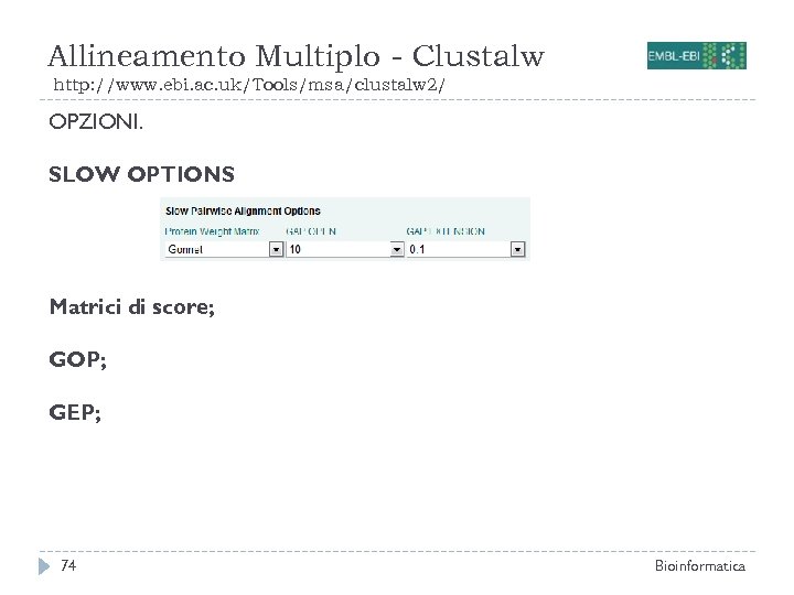 Allineamento Multiplo - Clustalw http: //www. ebi. ac. uk/Tools/msa/clustalw 2/ OPZIONI. SLOW OPTIONS Matrici