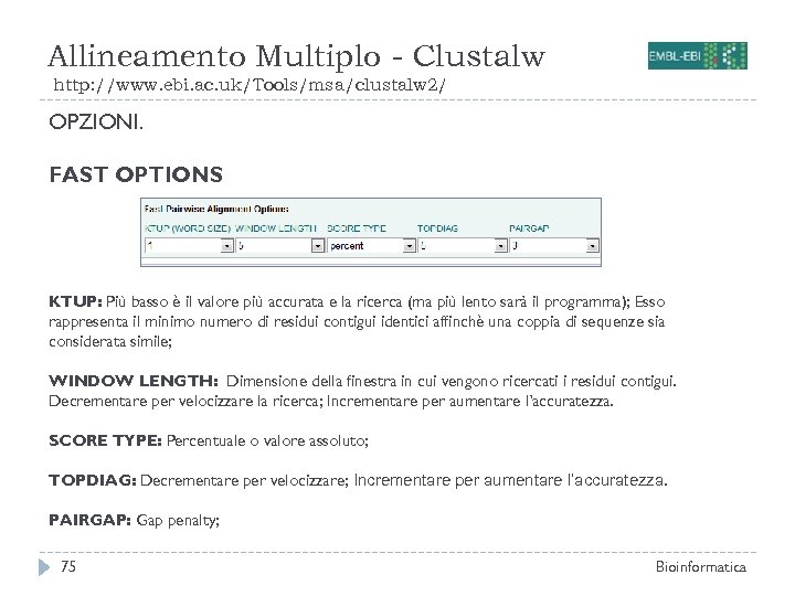 Allineamento Multiplo - Clustalw http: //www. ebi. ac. uk/Tools/msa/clustalw 2/ OPZIONI. FAST OPTIONS KTUP: