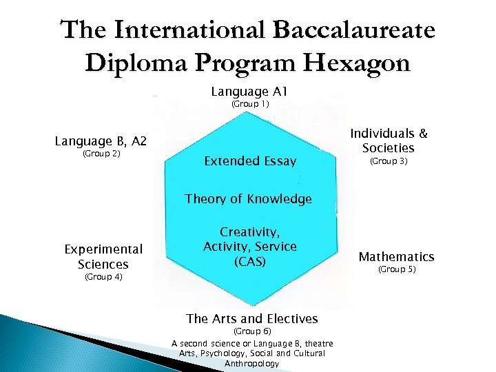 Understanding The International Baccalaureate Program An Education For