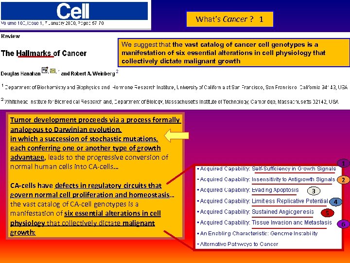 What’s Cancer ? 1 We suggest that the vast catalog of cancer cell genotypes