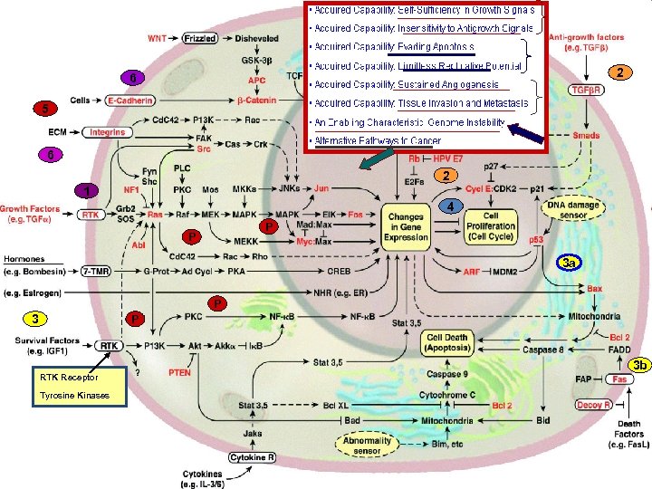 2 6 5 6 2 1 4 P P 3 a P 3 P