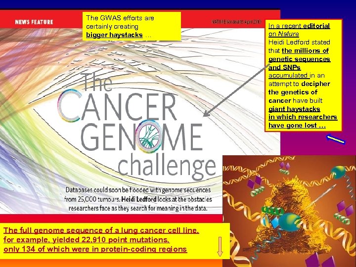 The GWAS efforts are certainly creating bigger haystacks … The full genome sequence of