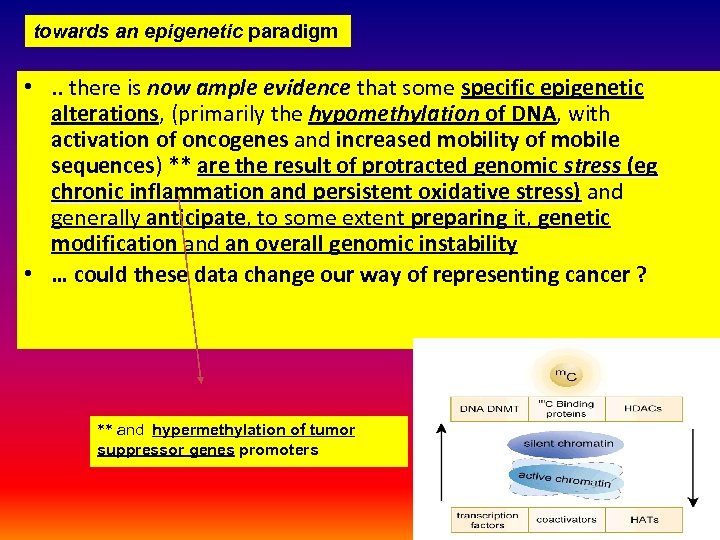 towards an epigenetic paradigm • . . there is now ample evidence that some