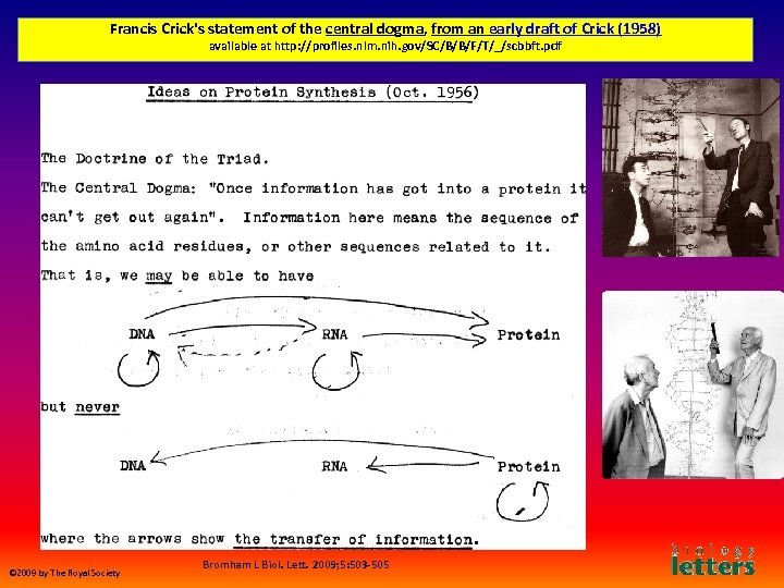 Francis Crick's statement of the central dogma, from an early draft of Crick (1958)