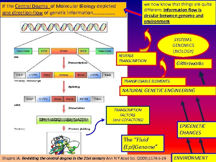 we now know that things are quite different: information flow is circular between genome