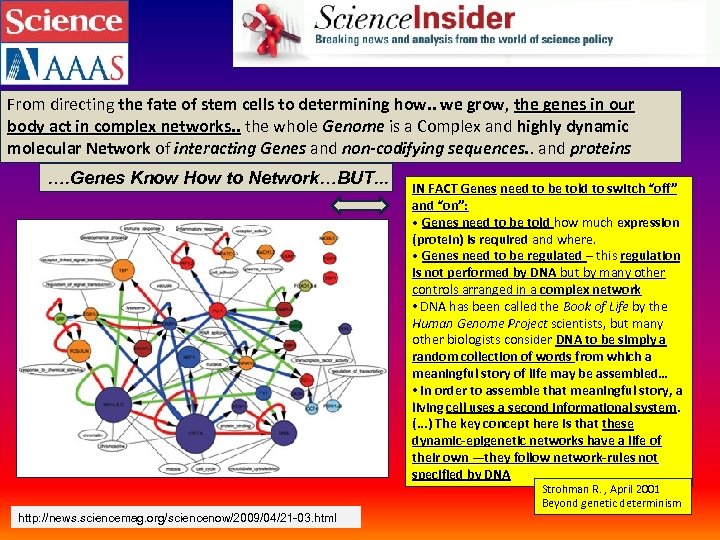 From directing the fate of stem cells to determining how. . we grow, the