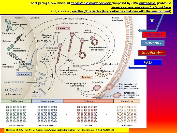 . . configuring a new model of genomic molecular network composed by DNA, epigenome,