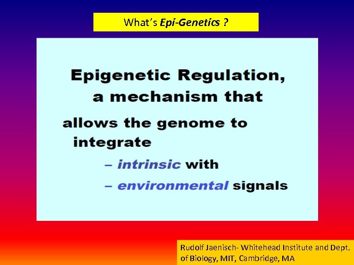 What’s Epi-Genetics ? Rudolf Jaenisch- Whitehead Institute and Dept. of Biology, MIT, Cambridge, MA