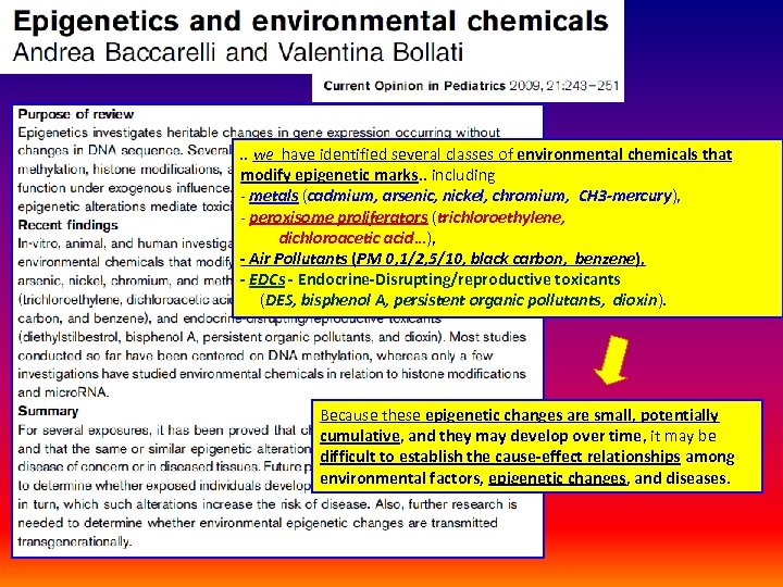 . . we have identified several classes of environmental chemicals that modify epigenetic marks.