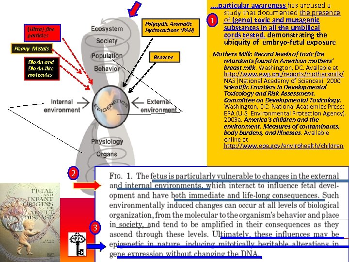 Polycyclic Aromatic Hydrocarbons (PAH) (Ultra)-fine particles Heavy Metals Benzene Dioxin and Dioxin-like molecules 2