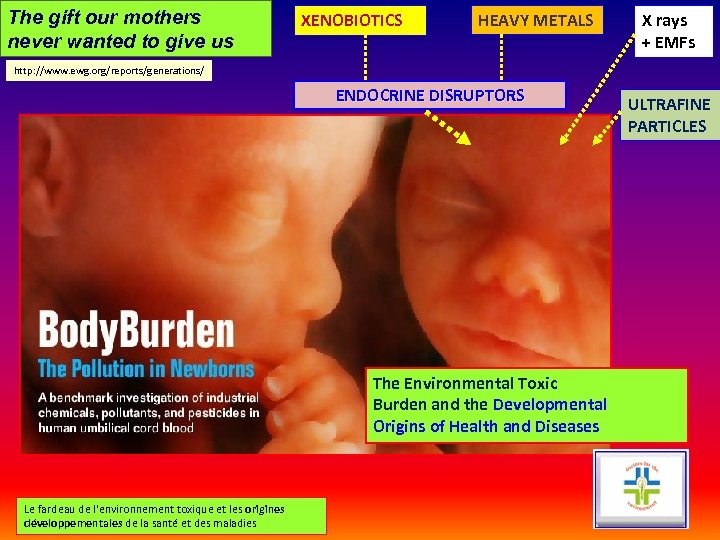 The gift our mothers never wanted to give us XENOBIOTICS HEAVY METALS X rays