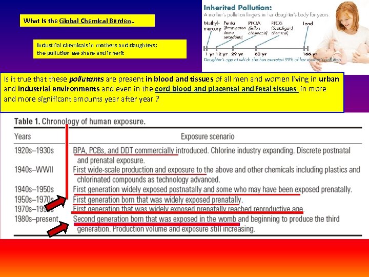 What is the Global Chemical Burden. . Industrial chemicals in mothers and daughters: the