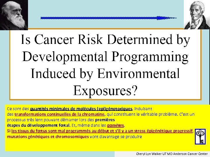 Ce sont des quantités minimales de molécules (epi)génotoxiques, induisant des transformations continuelles de la