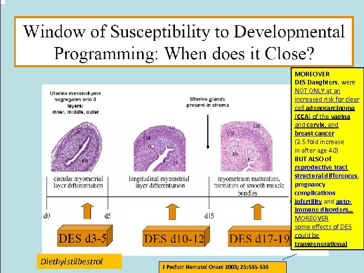 MOREOVER DES Daughters, were NOT ONLY at an increased risk for clear cell adenocarcinoma