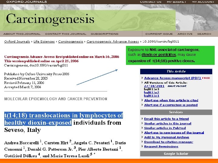 Exposure to NHL-associated carcinogens, such as dioxin or pesticides, may cause expansion of t(14;