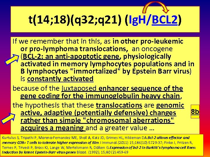 t(14; 18)(q 32; q 21) (Ig. H/BCL 2) BCL 2 If we remember that