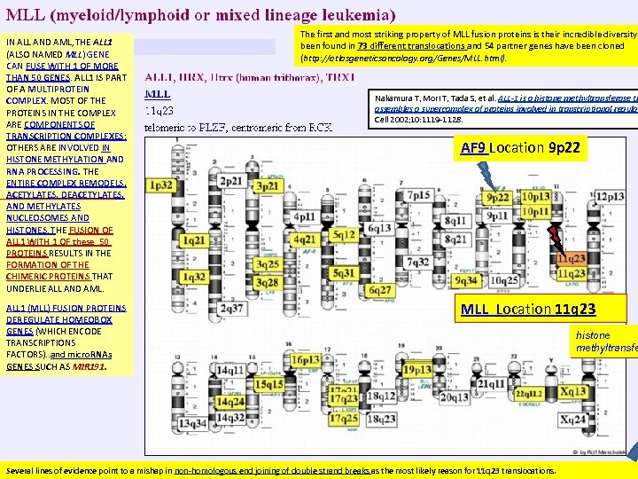 IN ALL AND AML, THE ALL 1 (ALSO NAMED MLL) GENE CAN FUSE WITH