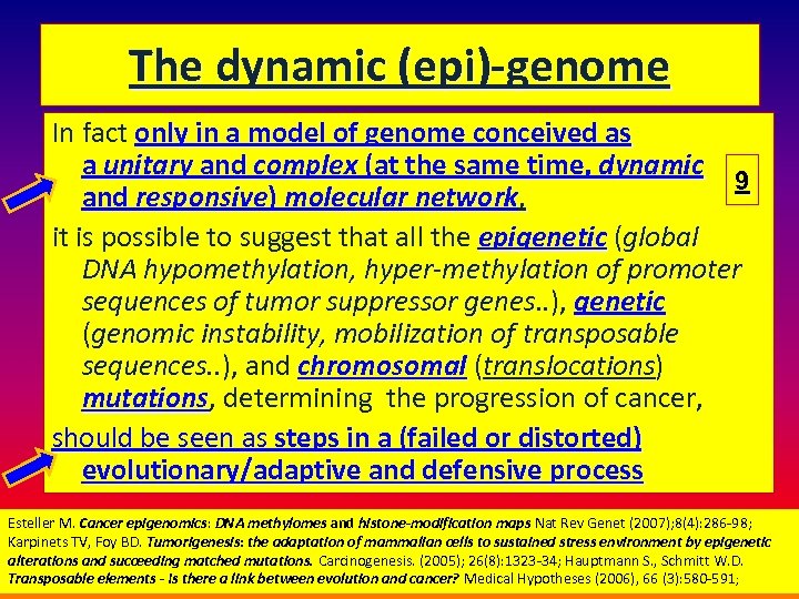 The dynamic (epi)-genome In fact only in a model of genome conceived as a