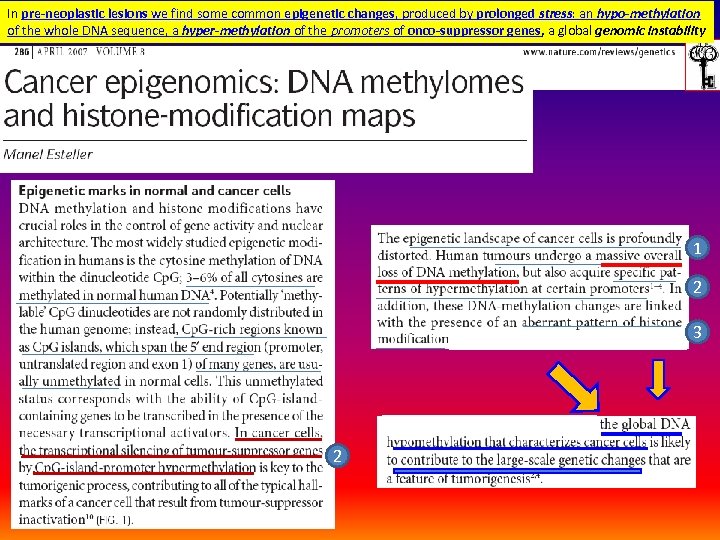 In pre-neoplastic lesions we find some common epigenetic changes, produced by prolonged stress: an