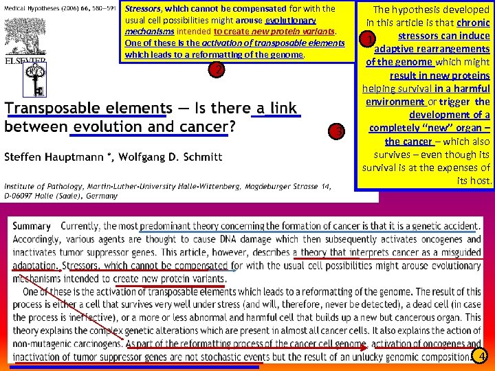 Stressors, which cannot be compensated for with the usual cell possibilities might arouse evolutionary