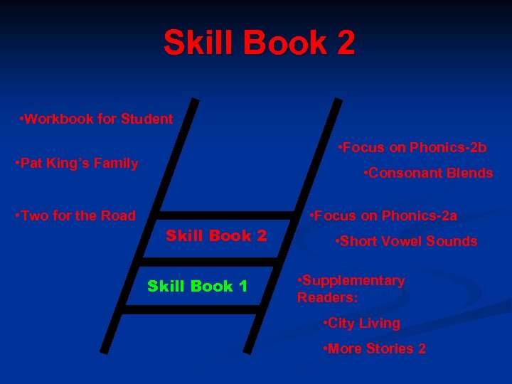 Skill Book 2 • Workbook for Student • Focus on Phonics-2 b • Pat