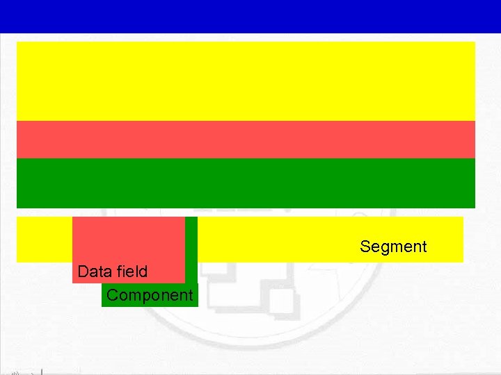 Segment Data field Component 