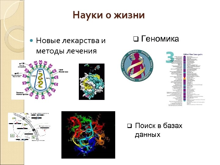 Науки о жизни q Геномика Новые лекарства и методы лечения q Поиск в базах