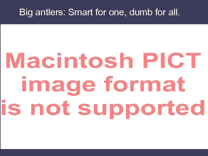 Big antlers: Smart for one, dumb for all. 