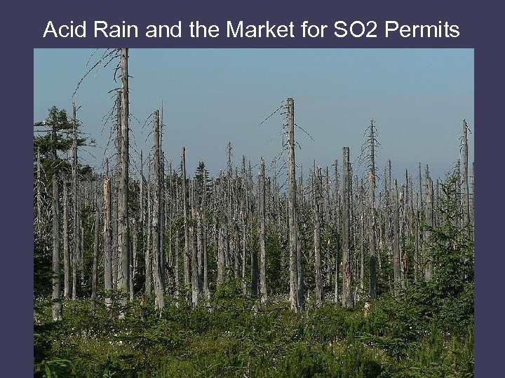 Acid Rain and the Market for SO 2 Permits 