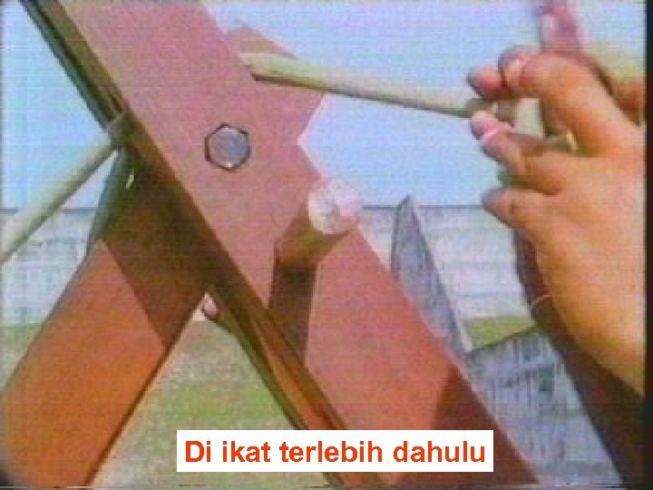 Di ikat terlebih dahulu 