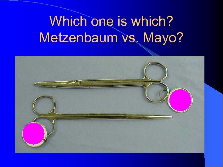 Which one is which? Metzenbaum vs. Mayo? 