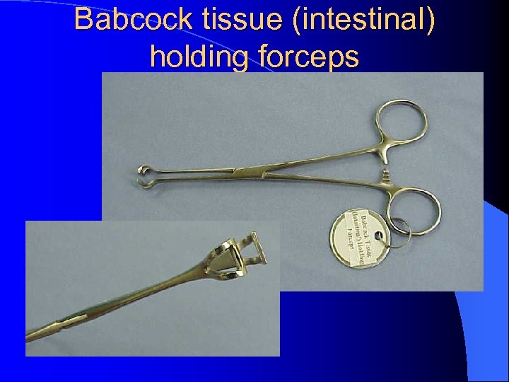 Babcock tissue (intestinal) holding forceps 