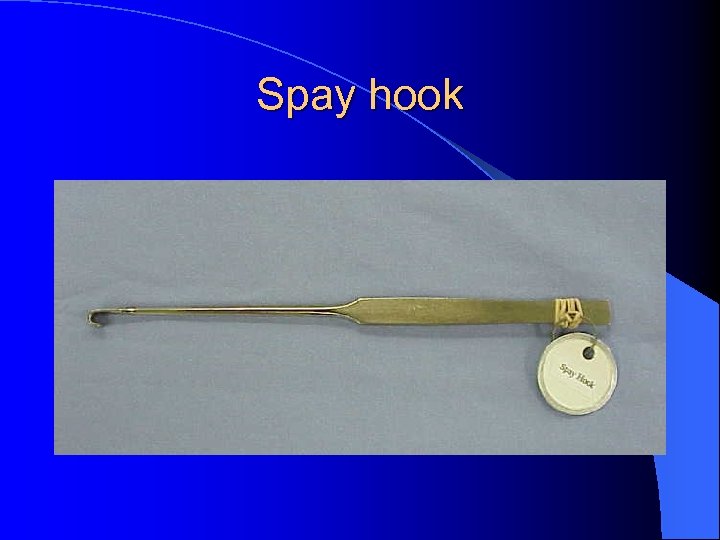 Spay hook 