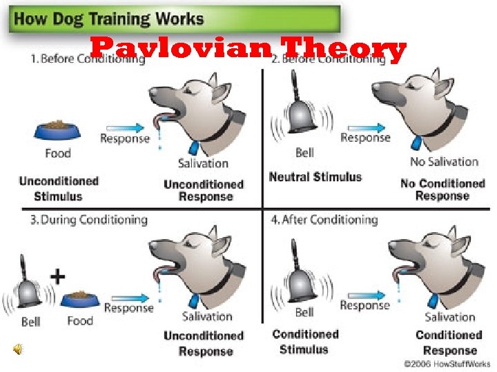 Pavlovian Theory 