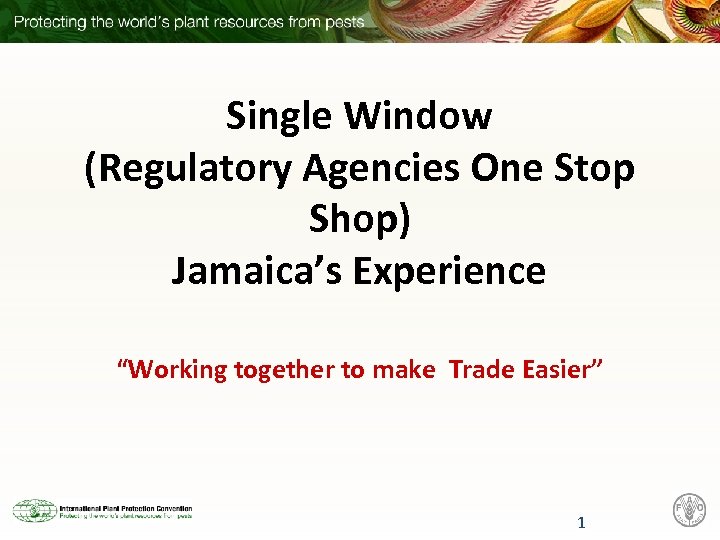 Single Window (Regulatory Agencies One Stop Shop) Jamaica’s Experience “Working together to make Trade