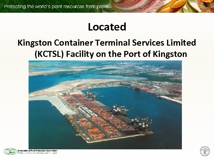 Located Kingston Container Terminal Services Limited (KCTSL) Facility on the Port of Kingston 