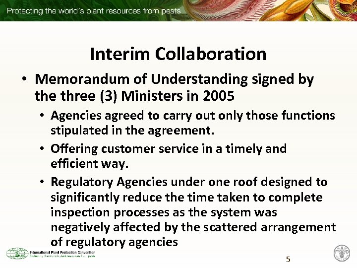 Interim Collaboration • Memorandum of Understanding signed by the three (3) Ministers in 2005