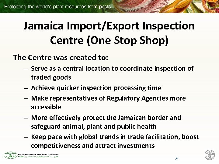 Jamaica Import/Export Inspection Centre (One Stop Shop) The Centre was created to: – Serve