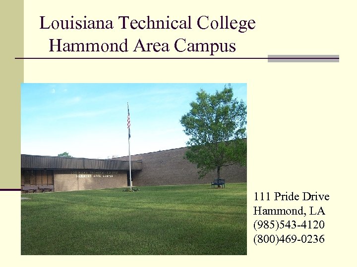 Louisiana Technical College Hammond Area Campus 111 Pride Drive Hammond, LA (985)543 -4120 (800)469