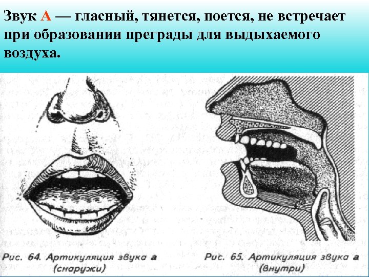 Звук А — гласный, тянется, поется, не встречает при образовании преграды для выдыхаемого воздуха.