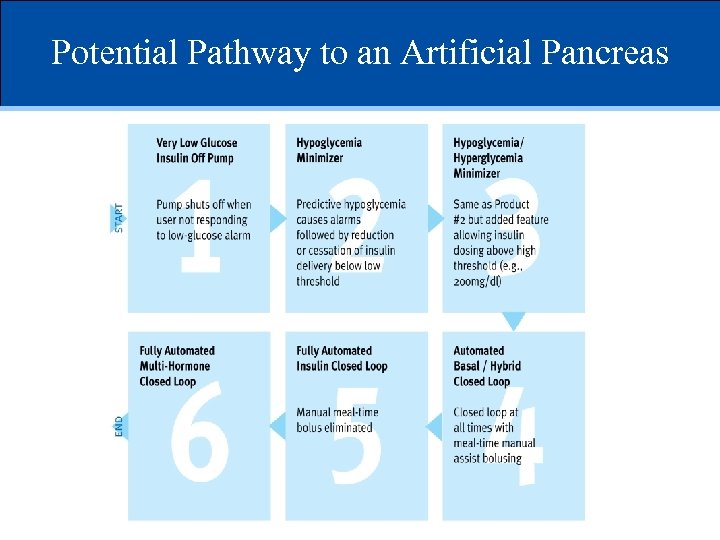 Potential Pathway to an Artificial Pancreas 