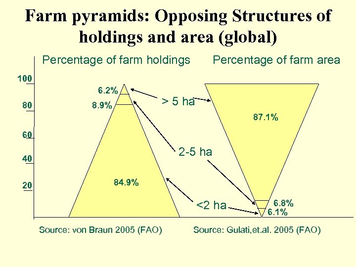Farm pyramids: Opposing Structures of holdings and area (global) Percentage of farm holdings Percentage