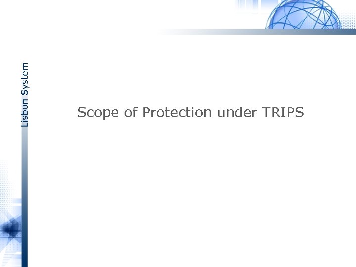 Lisbon System Scope of Protection under TRIPS 