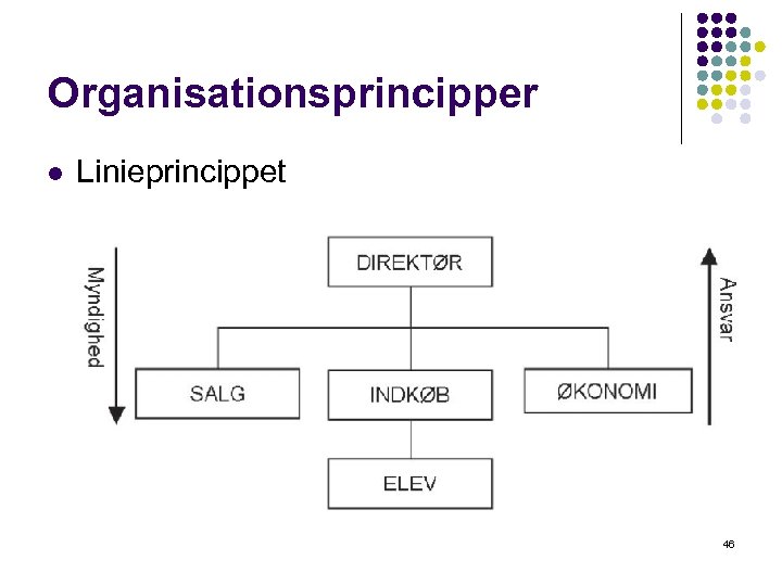 Organisationsprincipper l Linieprincippet 46 