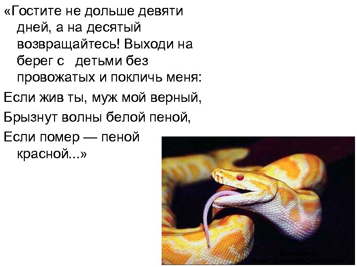  «Гостите не дольше девяти дней, а на десятый возвращайтесь! Выходи на берег с