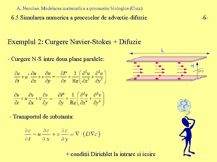 A. Neculae: Modelarea matematica a proceselor biologice (Curs) 6. 5 Simularea numerica a proceselor