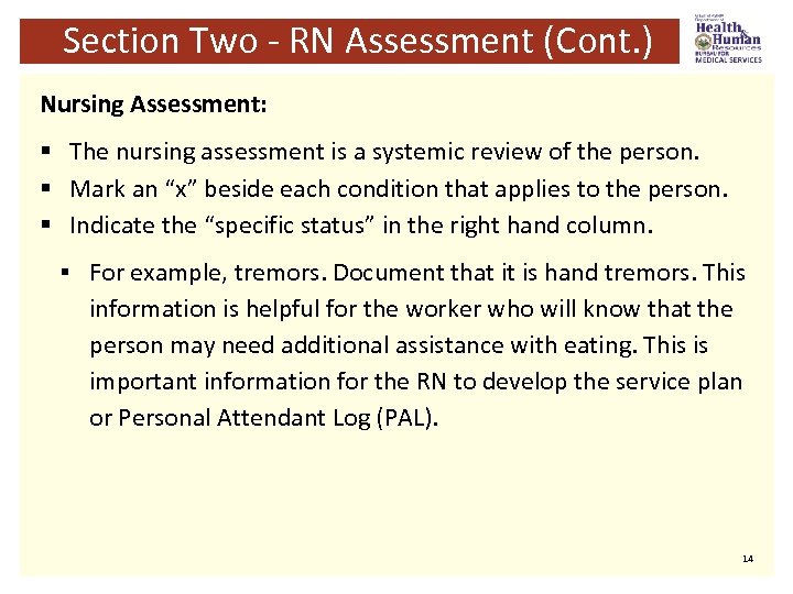 Section Two - RN Assessment (Cont. ) Nursing Assessment: § The nursing assessment is